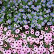 ヒメ日記 2025/04/10 14:32 投稿 みらい チェックイン素人専門大人女子