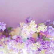 ヒメ日記 2025/04/13 09:59 投稿 みらい チェックイン素人専門大人女子