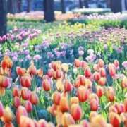 ヒメ日記 2025/04/13 16:49 投稿 みらい チェックイン素人専門大人女子