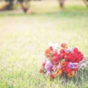 ヒメ日記 2025/04/18 10:19 投稿 みらい チェックイン素人専門大人女子