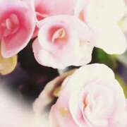 ヒメ日記 2025/04/19 18:09 投稿 みらい チェックイン素人専門大人女子