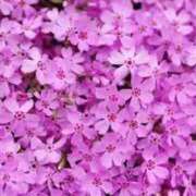 ヒメ日記 2025/05/25 21:29 投稿 みらい チェックイン素人専門大人女子