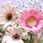 ヒメ日記 2025/05/25 21:30 投稿 みらい チェックイン素人専門大人女子