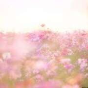 ヒメ日記 2025/05/29 17:36 投稿 みらい チェックイン素人専門大人女子