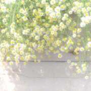 ヒメ日記 2025/06/02 17:09 投稿 みらい チェックイン素人専門大人女子