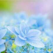 ヒメ日記 2025/06/12 09:29 投稿 みらい チェックイン素人専門大人女子