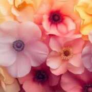 ヒメ日記 2025/06/12 17:59 投稿 みらい チェックイン素人専門大人女子