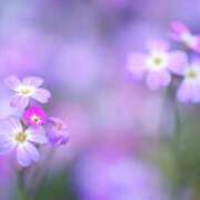 ヒメ日記 2025/06/12 18:00 投稿 みらい チェックイン素人専門大人女子