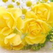 ヒメ日記 2025/06/17 12:30 投稿 みらい チェックイン素人専門大人女子