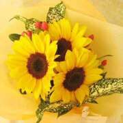 ヒメ日記 2025/06/17 18:04 投稿 みらい チェックイン素人専門大人女子