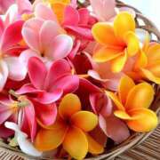 ヒメ日記 2025/07/21 18:04 投稿 みらい チェックイン素人専門大人女子