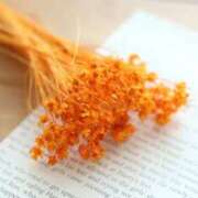 みらい からすのめ？ チェックイン素人専門大人女子