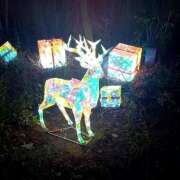 ヒメ日記 2024/12/22 11:31 投稿 きょうこ 熟女22時