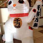 ヒメ日記 2025/01/29 13:56 投稿 きょうこ 熟女22時