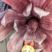 ヒメ日記 2025/06/11 12:18 投稿 きょうこ 熟女22時