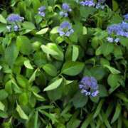 ヒメ日記 2025/06/24 11:49 投稿 きょうこ 熟女22時