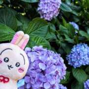 ヒメ日記 2025/06/29 11:44 投稿 きょうこ 熟女22時