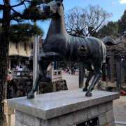 きょうこ 出勤します^⁠_⁠^ 熟女22時