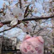 ヒメ日記 2026/04/01 11:38 投稿 きょうこ 熟女22時