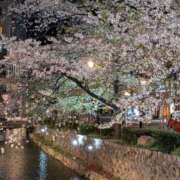 ヒメ日記 2026/04/12 11:48 投稿 きょうこ 熟女22時