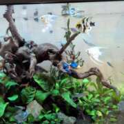 ヒメ日記 2026/04/19 11:44 投稿 きょうこ 熟女22時