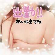 ヒメ日記 2025/01/31 10:56 投稿 瀬戸えりか 五十路マダム エクスプレス京都店