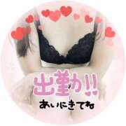 ヒメ日記 2025/04/28 11:08 投稿 瀬戸えりか 五十路マダム エクスプレス京都店