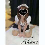 ヒメ日記 2025/03/21 14:37 投稿 西城　あかね セレブリフレ水戸