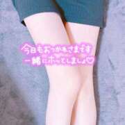 ヒメ日記 2026/05/30 09:50 投稿 みく consolation