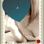 ヒメ日記 2024/12/28 17:19 投稿 月子 一夜妻