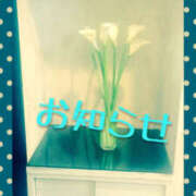 ヒメ日記 2025/01/15 13:09 投稿 月子 一夜妻