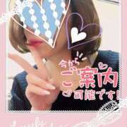 ヒメ日記 2025/06/09 12:29 投稿 月子 一夜妻