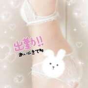 ヒメ日記 2025/05/29 18:31 投稿 のあ 姫コレクション(千葉)