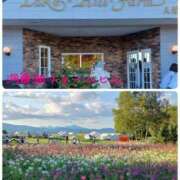 ヒメ日記 2026/08/22 16:59 投稿 翔(しょう) 八王子人妻城