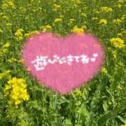 ヒメ日記 2025/04/03 12:52 投稿 ゆか 埼玉熊谷ちゃんこ