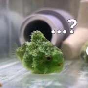 ヒメ日記 2025/03/21 17:42 投稿 高見 モアグループ春日部人妻城