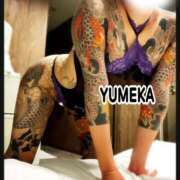 ヒメ日記 2024/12/13 16:50 投稿 ゆめか されるがママ