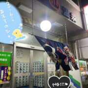 ヒメ日記 2025/02/06 21:46 投稿 ゆめか されるがママ