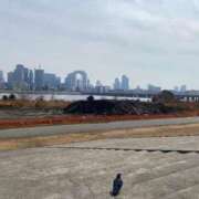 ヒメ日記 2025/02/22 09:46 投稿 ゆめか されるがママ