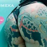 ヒメ日記 2025/04/14 10:50 投稿 ゆめか されるがママ