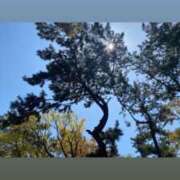 ヒメ日記 2025/07/19 10:41 投稿 ゆめか されるがママ