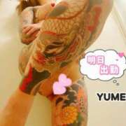 ヒメ日記 2025/09/12 15:34 投稿 ゆめか されるがママ