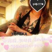 ヒメ日記 2025/11/26 08:17 投稿 ゆめか されるがママ