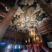 ヒメ日記 2025/11/27 18:18 投稿 ゆめか されるがママ