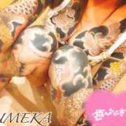 ヒメ日記 2026/01/16 08:13 投稿 ゆめか されるがママ