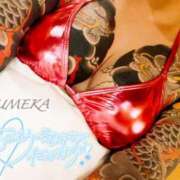 ヒメ日記 2026/02/11 20:01 投稿 ゆめか されるがママ