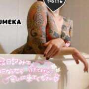 ヒメ日記 2026/02/18 10:36 投稿 ゆめか されるがママ