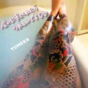 ヒメ日記 2026/04/09 08:02 投稿 ゆめか されるがママ