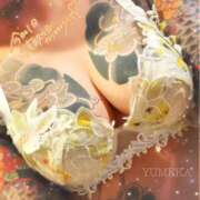 ヒメ日記 2026/04/21 09:45 投稿 ゆめか されるがママ