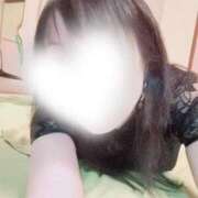 ヒメ日記 2024/12/17 22:06 投稿 ふたば ZERO-i